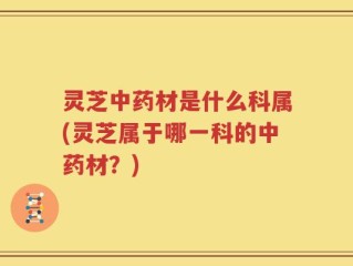 灵芝中药材是什么科属(灵芝属于哪一科的中药材？)