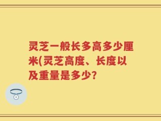 灵芝一般长多高多少厘米(灵芝高度、长度以及重量是多少？