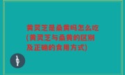 黄灵芝是桑黄吗怎么吃(黄灵芝与桑黄的区别及正确的食用方式)