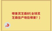 哪里灵芝最好(全球灵芝最佳产地在哪里？)