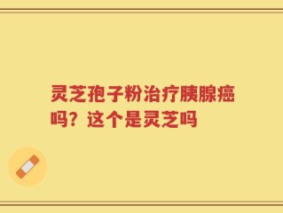 灵芝孢子粉治疗胰腺癌吗？这个是灵芝吗