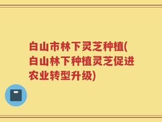 白山市林下灵芝种植(白山林下种植灵芝促进农业转型升级)