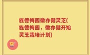旌德梅园徽亦健灵芝(旌德梅园，徽亦健开始灵芝栽培计划)