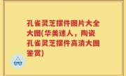 孔雀灵芝摆件图片大全大图(华美迷人，陶瓷孔雀灵芝摆件高清大图鉴赏)
