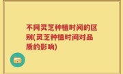 不同灵芝种植时间的区别(灵芝种植时间对品质的影响)