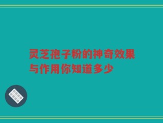 灵芝孢子粉的神奇效果与作用你知道多少