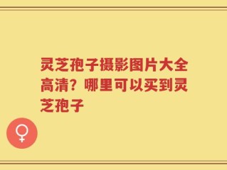 灵芝孢子摄影图片大全高清？哪里可以买到灵芝孢子