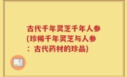 古代千年灵芝千年人参(珍稀千年灵芝与人参：古代药材的珍品)