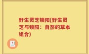 野生灵芝锁阳(野生灵芝与锁阳：自然的草本组合)