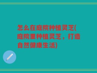 怎么在庭院种植灵芝(庭院里种植灵芝，打造自然健康生活)
