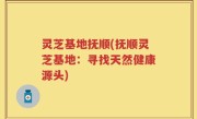 灵芝基地抚顺(抚顺灵芝基地：寻找天然健康源头)