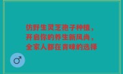 仿野生灵芝孢子种植，开启你的养生新风尚，全家人都在青睐的选择