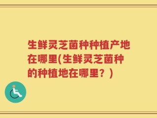 生鲜灵芝菌种种植产地在哪里(生鲜灵芝菌种的种植地在哪里？)