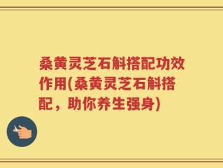 桑黄灵芝石斛搭配功效作用(桑黄灵芝石斛搭配，助你养生强身)