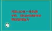 只需180元一斤的孢子粉，轻松体验植物世界的独特魅力