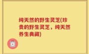 纯天然的野生灵芝(珍贵的野生灵芝，纯天然养生典藏)