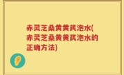 赤灵芝桑黄黄芪泡水(赤灵芝桑黄黄芪泡水的正确方法)