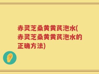 赤灵芝桑黄黄芪泡水(赤灵芝桑黄黄芪泡水的正确方法)