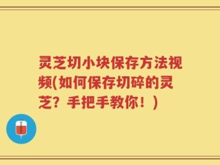 灵芝切小块保存方法视频(如何保存切碎的灵芝？手把手教你！)