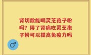 肾切除能喝灵芝孢子粉吗？得了肾病吃灵芝孢子粉可以提高免疫力吗