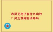 赤灵芝孢子有什么功效？灵芝发芽能消毒吗