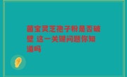 菌宝灵芝孢子粉是否破壁 这一关键问题你知道吗