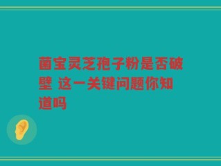 菌宝灵芝孢子粉是否破壁 这一关键问题你知道吗