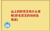 山上的野灵芝有什么用呢(野生灵芝的功效及用途)