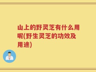 山上的野灵芝有什么用呢(野生灵芝的功效及用途)