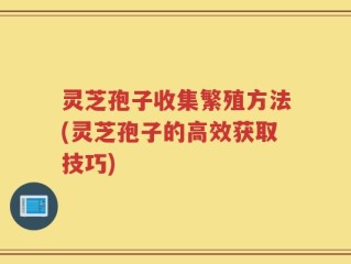 灵芝孢子收集繁殖方法(灵芝孢子的高效获取技巧)