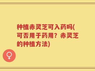 种植赤灵芝可入药吗(可否用于药用？赤灵芝的种植方法)