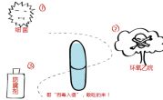 灵芝孢子粉怎么吃？灵芝孢子粉的禁忌警示！