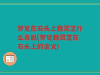 梦见在石头上栽灵芝什么意思(梦见栽灵芝在石头上的含义)