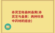赤灵芝和桑树桑黄(赤灵芝与桑黄：两种珍贵中药材的结合)