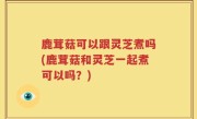 鹿茸菇可以跟灵芝煮吗(鹿茸菇和灵芝一起煮可以吗？)