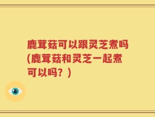鹿茸菇可以跟灵芝煮吗(鹿茸菇和灵芝一起煮可以吗？)