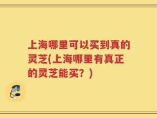 上海哪里可以买到真的灵芝(上海哪里有真正的灵芝能买？)