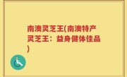 南澳灵芝王(南澳特产灵芝王：益身健体佳品)