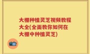 大棚种植灵芝视频教程大全(全面教你如何在大棚中种植灵芝)