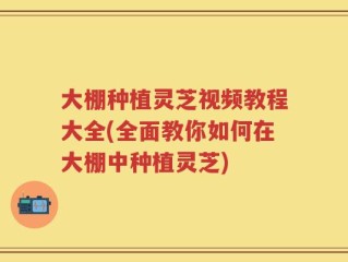 大棚种植灵芝视频教程大全(全面教你如何在大棚中种植灵芝)