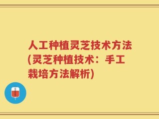 人工种植灵芝技术方法(灵芝种植技术：手工栽培方法解析)