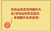 石柱山有灵芝吗图片大全(石柱山的灵芝盛况，多张图片全景呈现！)
