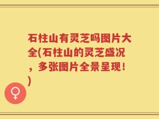 石柱山有灵芝吗图片大全(石柱山的灵芝盛况，多张图片全景呈现！)
