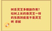 树舌灵芝多糖副作用？松树上长的像灵芝一样的东西到底是不是灵芝啊 求解