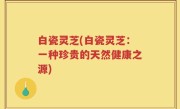 白瓷灵芝(白瓷灵芝：一种珍贵的天然健康之源)