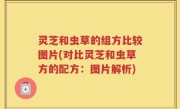 灵芝和虫草的组方比较图片(对比灵芝和虫草方的配方：图片解析)