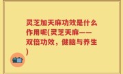 灵芝加天麻功效是什么作用呢(灵芝天麻——双倍功效，健脑与养生)