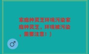 家庭种灵芝环境污染家庭种灵芝，环境被污染，需要注意！)