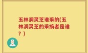 五林洞灵芝谁采的(五林洞灵芝的采摘者是谁？)