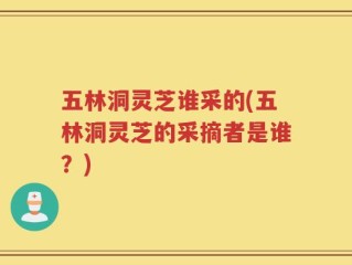 五林洞灵芝谁采的(五林洞灵芝的采摘者是谁？)